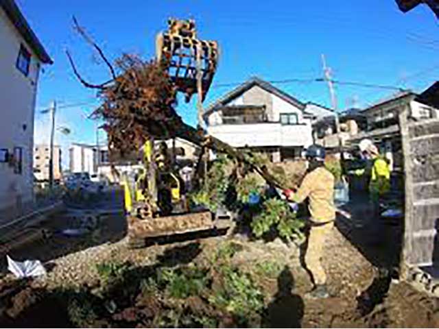 大木切りサービス　特殊伐採 伐根 除根作業 福岡市
