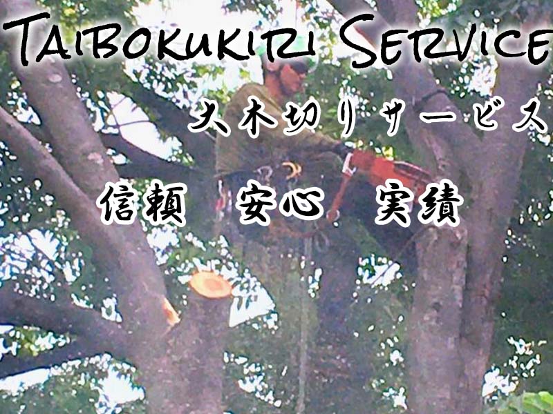 信頼・安心・実績